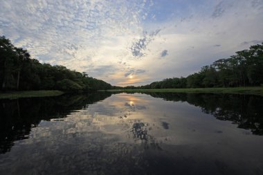 Florida Fisheating Creek 'te renkli gün batımı.