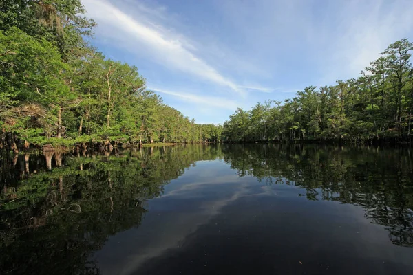 Fisheating Creek, Florida on bright spring morning. — Stock Photo, Image