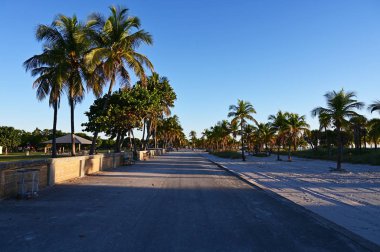 Florida, Key Biscayne 'deki Crandon Park Sahili' nde sahil yürüyüşü..