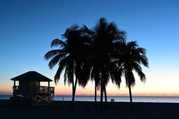 Palmeiras e estação de salva-vidas silhuetas contra o crepúsculo em Crandon Park Beach em Key Biscayne, Flórida . — Fotografia de Stock