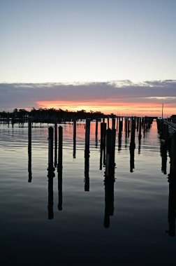 Şafak öncesi Coconut Grove 'da Akşam Yemeği Keyfi Limanı.