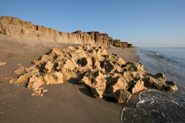 Blowing Rocks Preserve on Jupiter Island, Florida. clipart