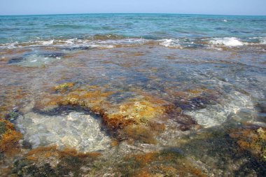 Florida, Tequesta 'daki Mercan Koyu Parkı' nın gelgit havuzları ve kaya oluşumları.