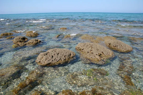 Getijdenpoelen en rotsformaties van Coral Cove Park in Tequesta, Florida. — Stockfoto