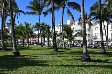 Ocean Drive behind palm trees in Miami Beach, Florida.