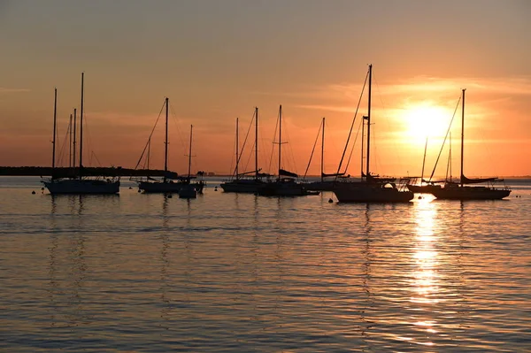 Veleros fondeados al atardecer en Crandon Marina en Key Biscayne, Florida . — Foto de Stock