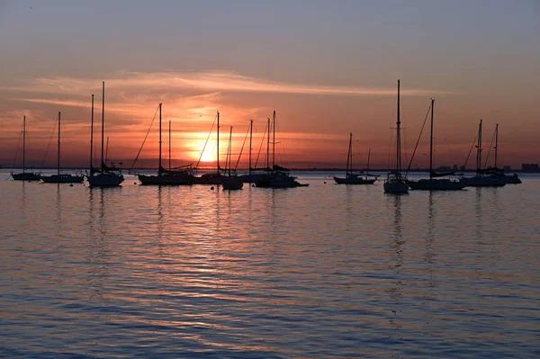 Barche a vela all'ancora al tramonto a Crandon Marina su Key Biscayne, Florida . — Foto Stock