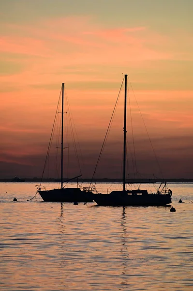 Barche a vela all'ancora al tramonto a Crandon Marina su Key Biscayne, Florida . — Foto Stock