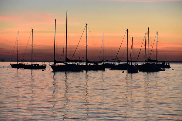 Парусники на якоре на закате в Crandon Marina на Key Biscayne, Флорида . — стоковое фото