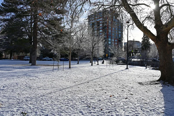 Parque Wingfield en Reno Nevada después de la tormenta de nieve . —  Fotos de Stock