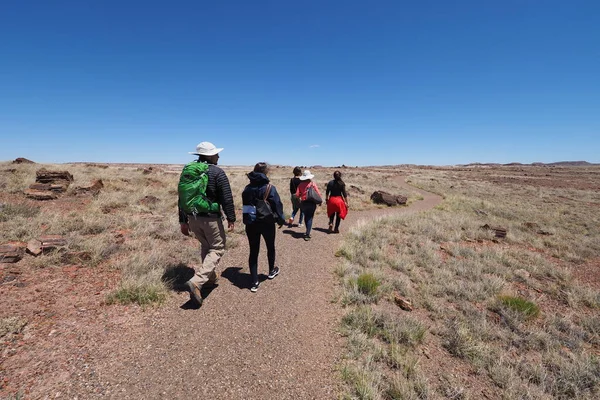 Tourists hiking on trails of Petrified Forest National Park, Arizona. — Stockfoto