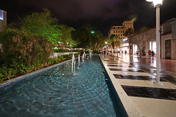 Rectangular fountain on Lincoln Road Mall in Miami Beach, Florida at night. — 스톡 사진