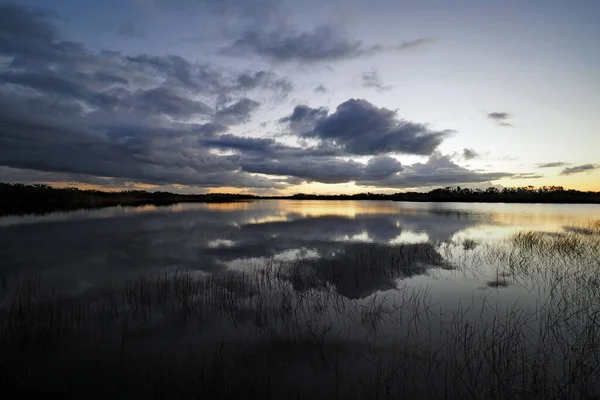 Lever de soleil coloré sur l'étang Nine Mile dans le parc national des Everglades, Floride. — Photo