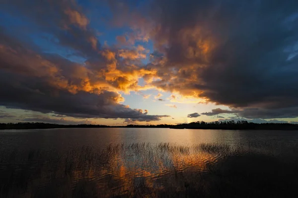 Colorido amanecer sobre el estanque de nueve millas en el Parque Nacional Everglades, Florida. — Foto de Stock