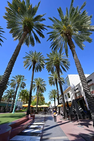 Lincoln Road Mall in Miami Beach, Florida . — стоковое фото