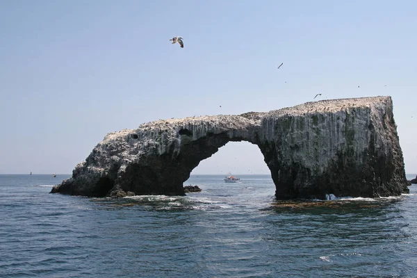 Arch Rock frente a la isla de Anacapa en el Parque Nacional de las Islas del Canal, California . — Foto de Stock