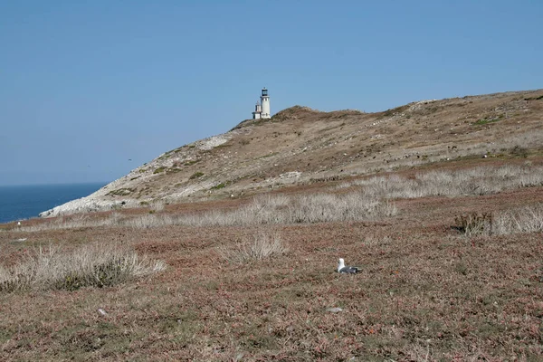 Lighthouse on East Anacapa Island in Channel Islands National Park, California. — Stock fotografie