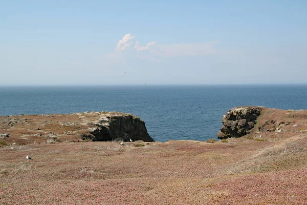 Rugged coast of East Anacapa Island in Channel islands national park, California. — 图库照片