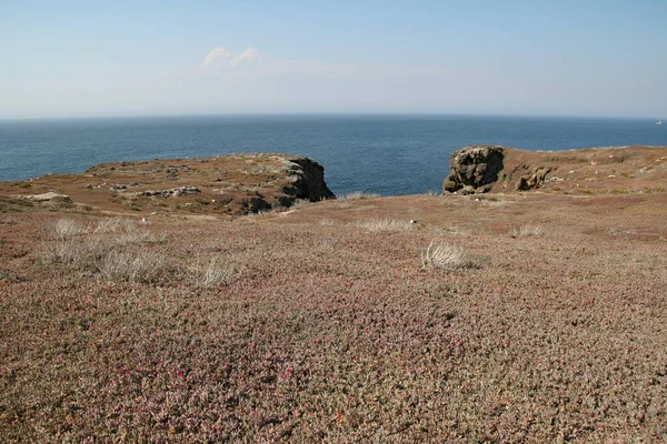 Rugged coast of East Anacapa Island in Channel islands national park, California. — Stock fotografie