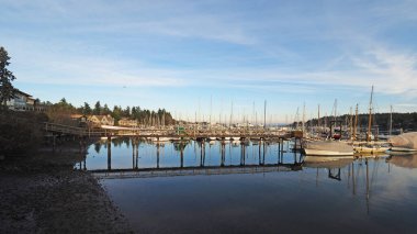 Seattle, Washington 'daki Bainbridge Adası' nda sakin, güneşli bir kış öğleden sonra.
