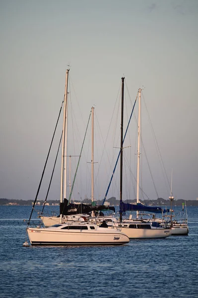 Yelkenliler Crandon Marina 'da Key Biscayne, Florida' da demirledi.. — Stok fotoğraf