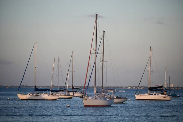 フロリダ州キー・ビスケーンのクランドン・マリーナに停泊中の帆船. — ストック写真