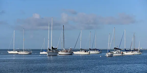 Yelkenliler Crandon Marina 'da Key Biscayne, Florida' da demirledi.. — Stok fotoğraf