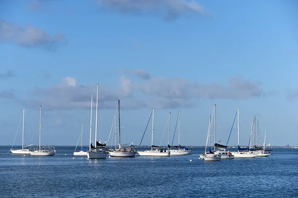 Sailboats anchored in Crandon Marina on Key Biscayne, Florida. — Stock Photo, Image