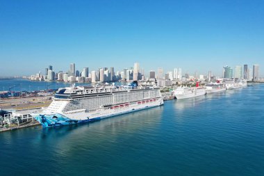 Coronavirüs salgını sırasında Miami Limanı 'na yanaşan yolcu gemilerinin hava görüntüsü..