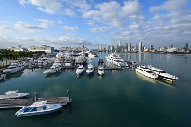 Şehir ve Miami Limanı arka planında Island Gardens Deep Harbour marinası.