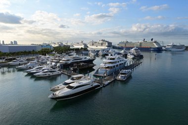 Şehir ve Miami Limanı arka planında Island Gardens Deep Harbour marinası.