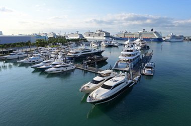 Şehir ve Miami Limanı arka planında Island Gardens Deep Harbour marinası.
