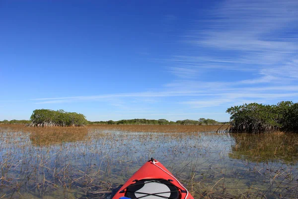 붉은 카약 - 9 마일 연못, 플로리다주 에버글레이즈 국립 공원. — 스톡 사진