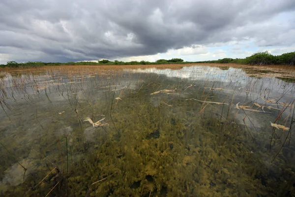 Nine Mile Pond in Everglades National Park under dark storm clouds. — Stock Photo, Image