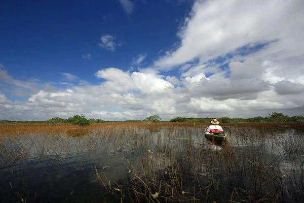 Active senior kayaking in Everglades National Park. — Stock Photo, Image