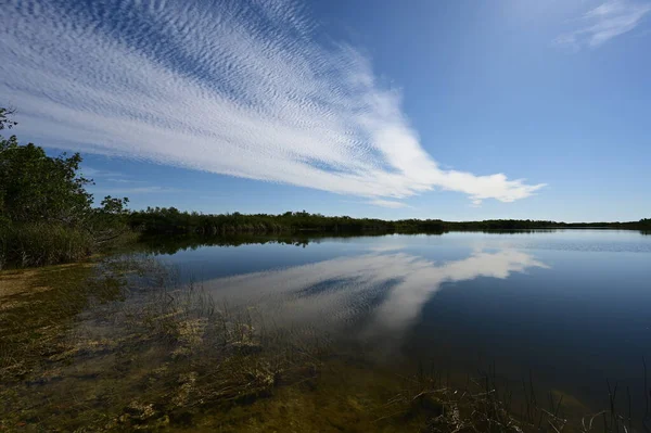 Güzel yaz bulutları Everglades Ulusal Parkı, Florida 'daki Nine Mile Pond' u yansıtıyor.. — Stok fotoğraf