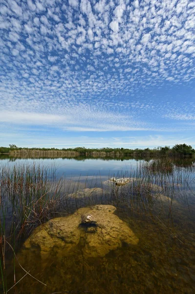Beautiful summer cloudscape reflected on Nine Mile Pond in Everglades National Park, Florida. — Stock Photo, Image