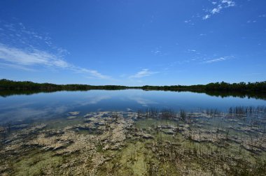 Güzel yaz bulutları Everglades Ulusal Parkı, Florida 'daki Nine Mile Pond' u yansıtıyor..