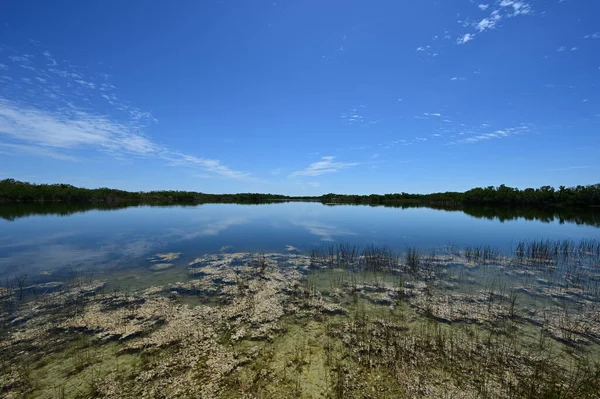 Güzel yaz bulutları Everglades Ulusal Parkı, Florida 'daki Nine Mile Pond' u yansıtıyor.. — Stok fotoğraf