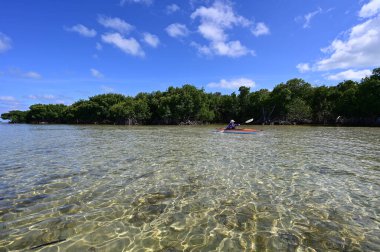 Ayı 'nın temiz sığ suyu Biscayne, Florida' nın anahtarını kesti..