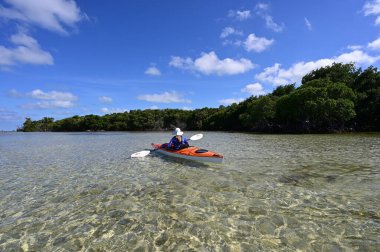 Florida 'da Biscayne' in anahtarını kesen ayının temiz sığ sularında kano süren kadın..