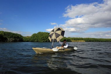 Everglades Ulusal Parkı 'ndaki Paurotis Pond' da yelken olarak şemsiye kullanarak kıdemli kano sporu..
