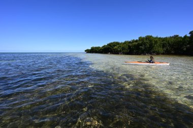 Florida 'da Biscayne Adası' nda kayak yaparken..