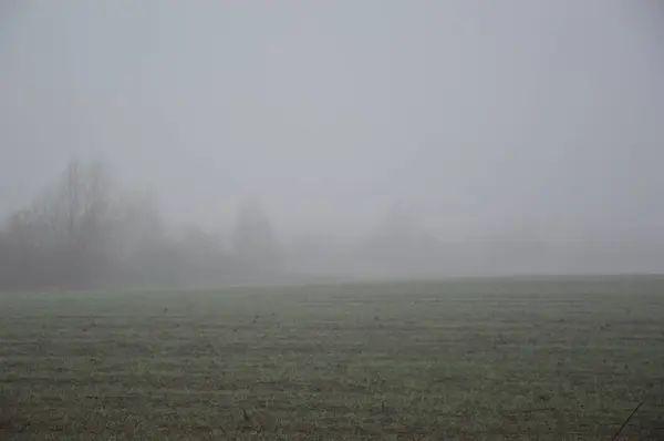 Panorama do campo nebuloso da manhã — Fotografia de Stock