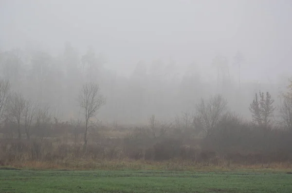 Panorama du champ brumeux du matin — Photo