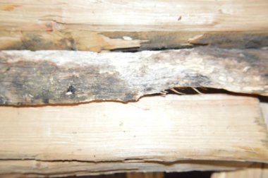 Katı ahşap ve işlenmiş kereste yüzey dokuları