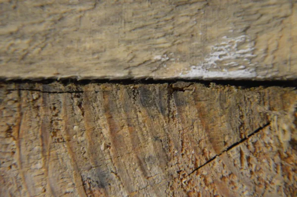 Oberflächenstrukturen aus Massivholz und verarbeitetem Holz — Stockfoto