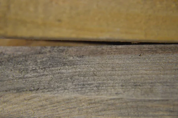 Текстуры массивной древесины и обработанной древесины — стоковое фото