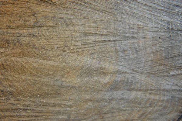 단단 한 나무와 가공된 목재 표면 질감 — 스톡 사진