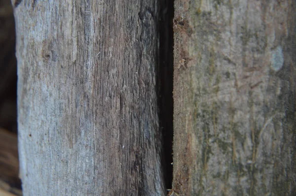 Szilárd fa és feldolgozott fa felületi textúrák — Stock Fotó